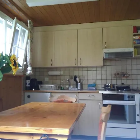 Ferien Flueehblueemli Stechelberg